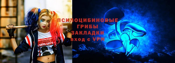 таблы Алзамай