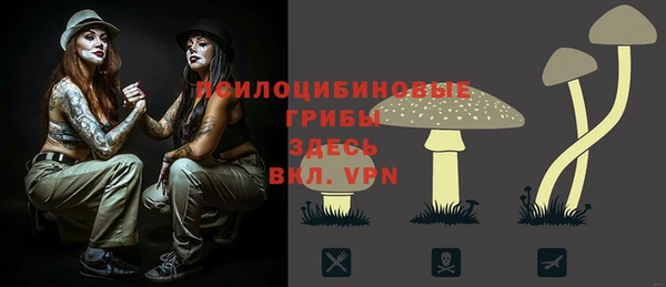 таблы Алзамай