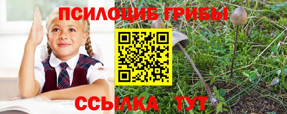 Лениногорск  Галлюциногенные грибы Magic Shrooms  где купить   Вход с VPN 