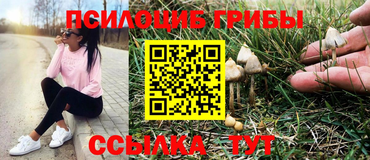 Псилоцибиновые грибы мицелий Лениногорск